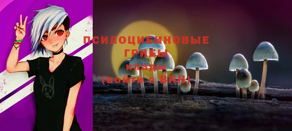 прущая мука Зеленодольск