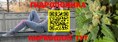 ПСИЛОЦИБИНОВЫЕ ГРИБЫ Краснодар