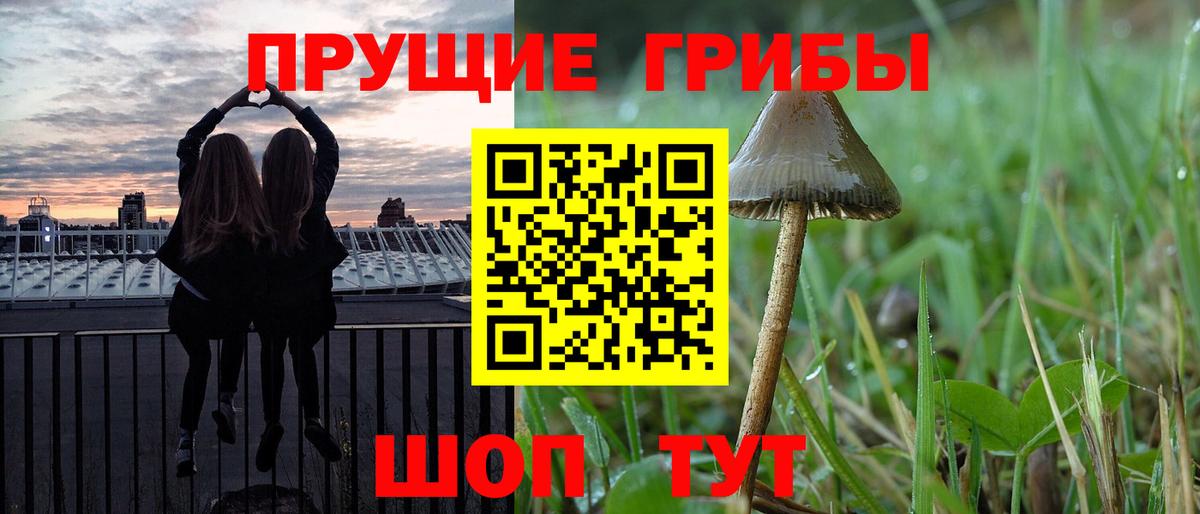 Псилоцибиновые грибы Psilocybine cubensis  Вход с VPN  Еманжелинск  Псилоцибиновые грибы Magic Shrooms 