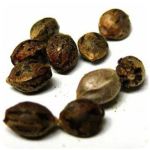 Семена марихуаны АК-47  (Seeds AK-47) в Еманжелинске